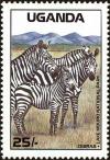 Colnect-4277-815-Zebra-Equus-sp-Lake-Mburo-National-Park.jpg