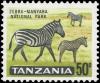 Colnect-5519-051-Zebra-Equus-sp-in-Manyara-National-Park.jpg