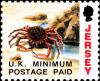 Colnect-6122-263-European-Spider-Crab-Maja-squinado.jpg
