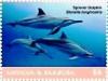 Colnect-6436-362-Spinner-dolphin.jpg