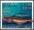 Colnect-3202-818-Blackfin-Specter-Goby-Akko-rossi-.jpg