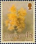 Colnect-3996-856-Narcissus--Rip-Van-Winkle-.jpg