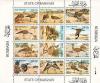 Colnect-1463-292-Houbara-Bustard-Chlamydotis-undulata.jpg
