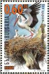 Colnect-1780-751-White-Stork-Ciconia-ciconia.jpg