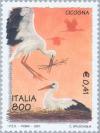 Colnect-182-408-White-Stork-Ciconia-ciconia.jpg