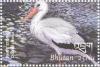 Colnect-3395-667-White-Stork-Ciconia-ciconia.jpg