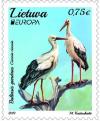 Colnect-5726-708-White-Stork-Ciconia-ciconia.jpg
