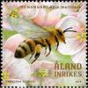 Colnect-6079-845-Buckfastbee-Western-Honeybee-Apis-mellifera.jpg