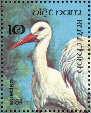 Colnect-1613-184-White-Stork-Ciconia-ciconia.jpg