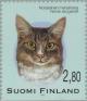 Colnect-160-321-Norwegian-Forest-Cat-Felis-silvestris-catus.jpg