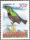 Colnect-1119-550-Neergaard--s-Sunbird-Nectarinia-neergaardi.jpg