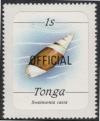 Colnect-4501-336-Swainsonia-casta.jpg