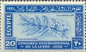 Colnect-4547-050-International-Leprosy-Congress---Branch-of-Hydnocarpus.jpg