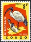 Colnect-1093-577-Sacred-Ibis-Treskiornis-aethiopicus.jpg