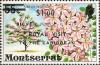 Colnect-1640-559-Flowering-trees-of-Montserrat---Pink-Cassia.jpg