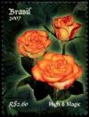 Colnect-4051-159-Roses---High--amp--Magic.jpg