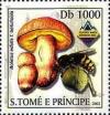 Colnect-5275-165-Boletus-edulis-f-betulicola.jpg