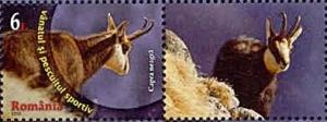 Colnect-1935-715-Chamois-Rupicapra-rupicapra.jpg