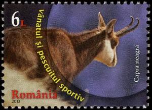 Colnect-5518-716-Chamois-Rupicapra-rupicapra.jpg