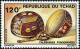 Colnect-1052-856-Crafts-Gourds-pyrographed.jpg