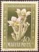 Colnect-597-943-Anemones-Pulsatilla-vulgaris.jpg