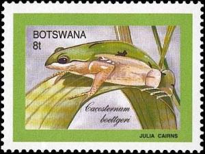 Colnect-1218-080-Boettger--s-Metal-Frog-Cacosternum-boettgeri.jpg