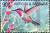 Colnect-3932-799-Magenta-throated-woodstar.jpg