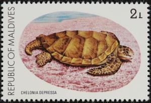 Colnect-2453-339-Australian-Flatback-Turtle-Chelonia-depressa.jpg