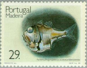 Colnect-186-504-Atlantic-Silver-Hatchetfish-Argyropelecus-aculeatus.jpg