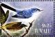 Colnect-4008-353-Blue-grey-Gnatcatcher%C2%A0%C2%A0%C2%A0%C2%A0Polioptila-caerulea.jpg
