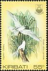 Colnect-1095-844-Pacific-White-Tern-Gygis-alba-candida-.jpg