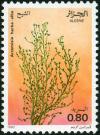 Colnect-2071-734-Artemisia-herba-alba.jpg