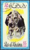Colnect-978-721-English-Setter-Canis-lupus-familiaris.jpg