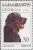 Colnect-1104-822-Gordon-Setter-Canis-lupus-familiaris.jpg