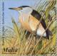 Colnect-131-476-Little-Bittern%C2%A0Ixobrychus-minutus.jpg