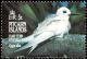 Colnect-2648-967-White-Tern-Gygis-alba.jpg