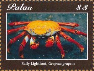 Colnect-4971-692-Sally-Lightfoot-Crab-Grapsus-grapsus.jpg