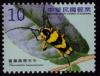 Colnect-1854-032-Beetle-Thermistis-taiwanensis.jpg