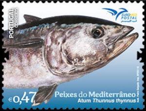 Colnect-4950-624-Thunnus-thynnus.jpg
