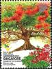 Colnect-5443-261-Flame-of-the-Forest-Delonix-regia.jpg