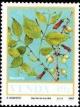 Colnect-3832-478-Food-of-the-Veld-Halleria-lucida.jpg