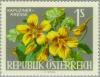 Colnect-136-530-Nasturtium-Tropaeolum-majus.jpg
