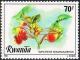 Colnect-2664-088-Impatiens-niamniamensis.jpg