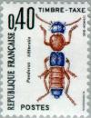 Colnect-147-061-Rove-Beetle-Paederus-littoralis.jpg