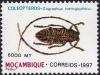 Colnect-2492-887-Longhorn-Beetle-Zographus-hieroglyphicus.jpg