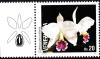 Colnect-2995-963-Cattleya-percivaliana.jpg