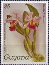 Colnect-4135-449-Cattleya-warscewiczii.jpg