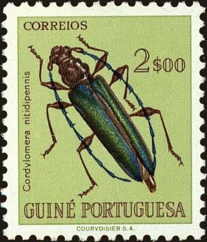 Colnect-4489-177-Longhorn-Beetle-Cordylomera-nitidipennis.jpg