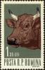 Colnect-4450-809-Female-Cattle-Bos-primigenius-taurus.jpg