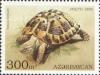 Colnect-196-077-Hermann--s-Tortoise-Testudo-hermanni.jpg
